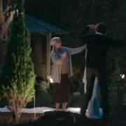 فقط ان درخت سرو پا برجا ماند...