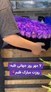 سورپرایز عاشقانه با گل رز بنفش به مناسبت روز جهانی قلب ❤️