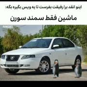 ماشین فقط سمند سورن: رقص پنگوئن‌ها برای خودروی ملی! 🐧🚗