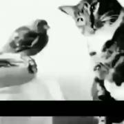 عاشقانه غمگین برای دل شکسته ها