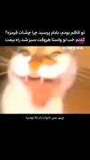 والا همین که هس‌‌‌‌‌‌‌‌‌‌‌‌‌😂