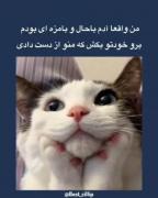 برو خودتو بکش که منو از دست دادی 