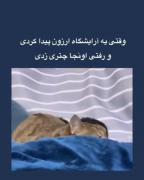 مطمئن هستی اون آرایشگر بوده ؟؟😂