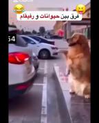 دیگه نیا 😂🤣. .