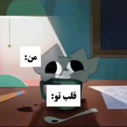 میم گربه بامزه: تلاش برای جای گرفتن در قلب تو