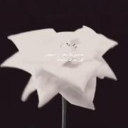 حس پژمردگی گل پس از شنیدن حرف‌های تلخ