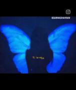 پروانه‌های آبی؛ ویدئویی تأمل‌برانگیز با مفهوم عمیق