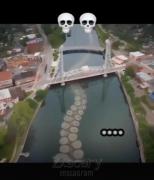 مقایسه جالب بزرگترین هشت پا و موجودات دریایی غول پیکر