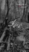 آهنگ لری غمگین - روایت اصالت و دلتنگی