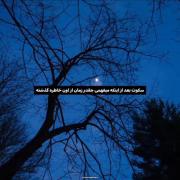 سکوت بعد از ..................