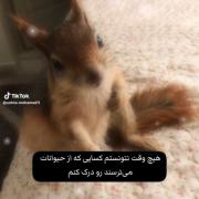 کجاشو ترسناک آخه ...:🫴✨️‌‌‌‌‌