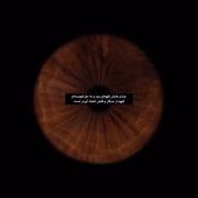 ولی وایبر چشم قهوه ای ها....:👀🐻🐾✨️