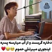 ..............................