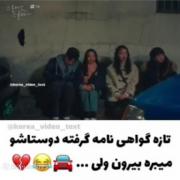 ..............................