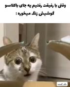 وقتی زنگ گوشی رفیقت آبروتو می‌بره!