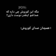 همچنان صدای کـــوروش:........)