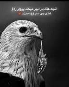 ما رو هم آدمای دو رو و حیله گر پیر کرد😔