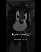 کلیپ غمگین تام و جری: بیخیال بذار همه برن