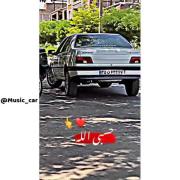 پژو پارس مشکی، عروسک جاده‌ها