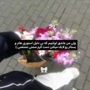 کلیپ عاشقانه و زیبا با گل‌های رنگارنگ