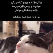 منی که به خود پلیسه مشکوکم ...