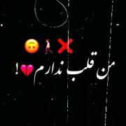 کلیپ احساسی: من قلب و احساسات ندارم!