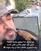 لحظات دلنشین دوستی یک پرنده زیبا با مردی مهربان