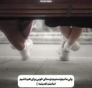 ..............................