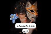 متولدین هر ماه به عنوان گربه 🐈