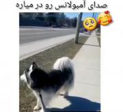 🥺🥺🥺🥺🥺🥺🥺آخییییییی🥺🥺🥺🥺🥺🥺🥺🥺🥺