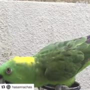 بهتر از من بلده 😂😐😂😂😂😂😂😂😂😂😂