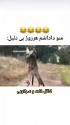 کیا با برادرشون اینطوری هستن..😂