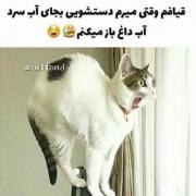 وایی چه ویدیو ای ساختم🤣🤣🤣🤣🤣