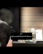 واکنش خنده دار جونگکوک به صدای زنگ تلفن