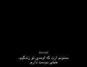 ویدئوی عاشقانه: ممنونم ازت که وارد زندگیم شدی