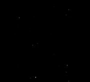 وقتی از پارس به تراکتور روی می‌آوری: لحظات خنده‌دار تراکتورسواری در مزرعه