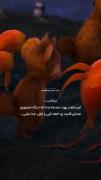 اونقدر بهت صدمه زده که... .