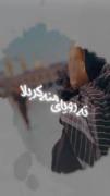 زِنْـدِگـی‍ـمْـ کَـرْبَـلـآ...:))