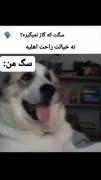 سگ من همینه😂😂😂😂😂😂😂😂😂😂😂😂😂😂😂😂