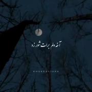 ....‌‌........................