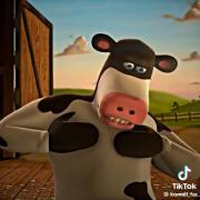 ‌ ‌‌‌‌💀 ‌ ‌ 