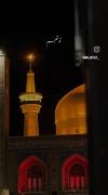 ویدیویی زیبا از حرم مطهر امام رضا (ع) در شب | نوای دلنشین یا ضامن آهو