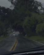 با هم همه چیو تجربه کردیم …🫠🤍✨