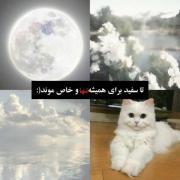 و رنگ سفید برای همیشه خاص باقی موند🌚🤍