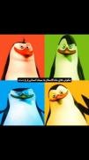 نسخه انسانی و جذاب پنگوئن‌های ماداگاسکار