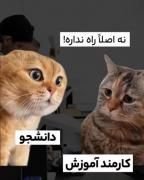 طنز موقعیت‌های دانشجویی: وقتی برای کار اداری به آموزش دانشگاه مراجعه می‌کنیم!