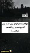 مسیر زندگی خود را انتخاب کنید: سفری در مناظر طبیعی فصول