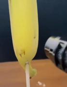 آزمایش جالب: مقایسه مقاومت موز و نوشابه در برابر حرارت شدید