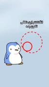چالش بامزه پنگوئن: انگشتتو بذار روش تا اتفاق جالبی بیفته!
