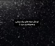 دلتنگی در برف: یک ویدیوی غمگین و احساسی